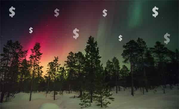 aurora lights trees