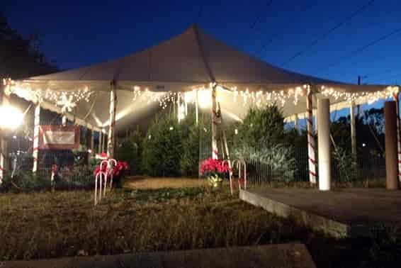 christmas tree stand