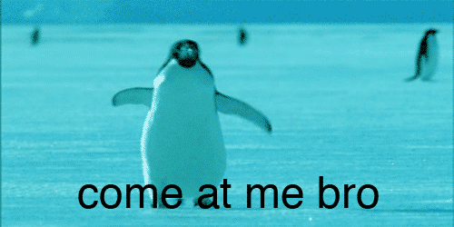come at me bro