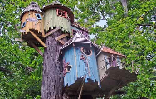 fancy treehouses