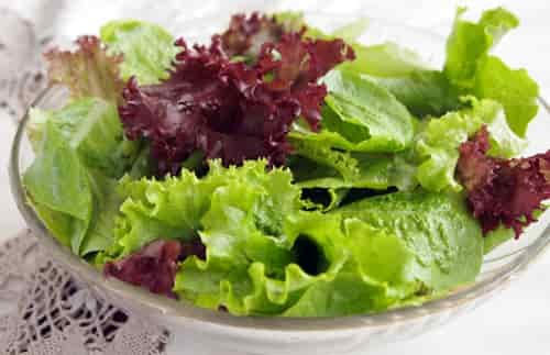 fresh green salad