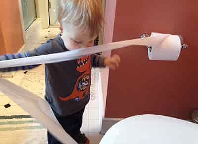 toilet paper christmas gift