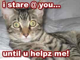 Helps me pleeze!