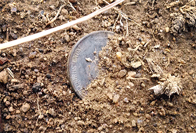 hidden nickel dirt
