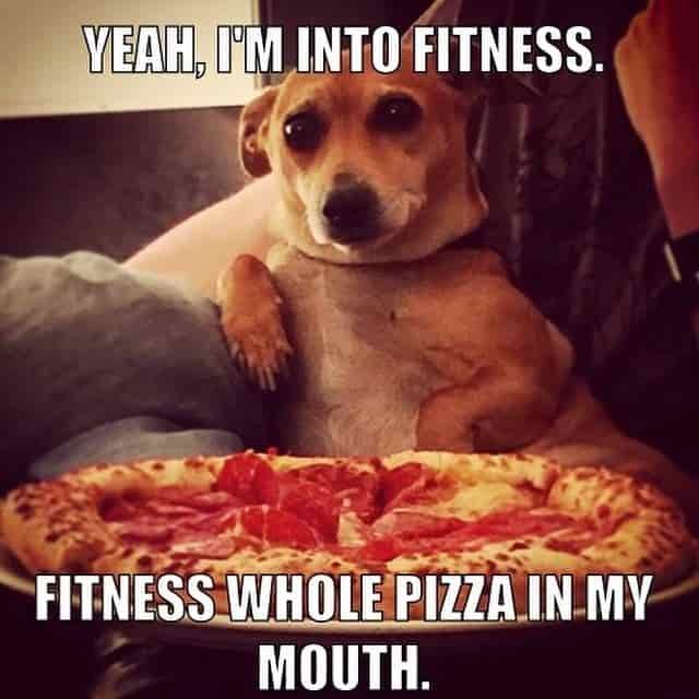 into fitness gif