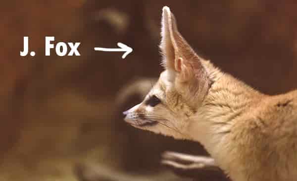 j fox