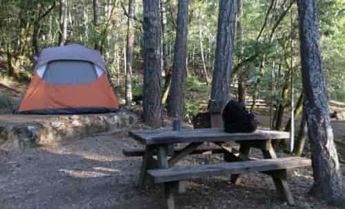 living in tent