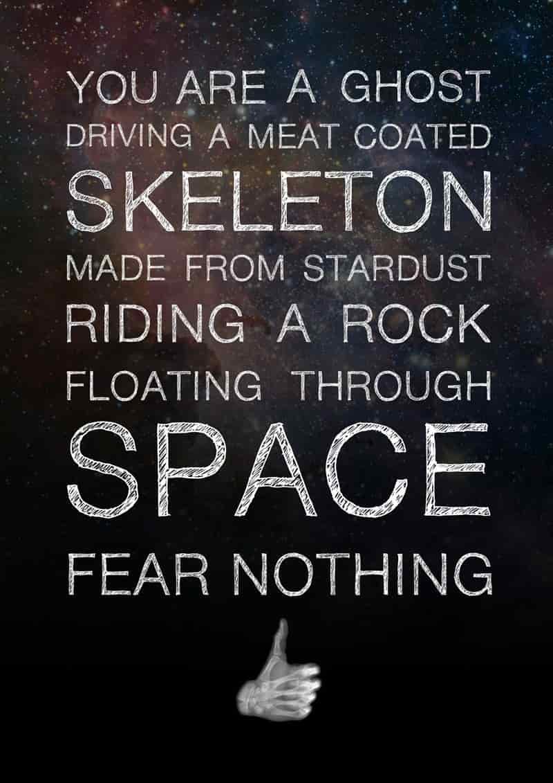 meat skeleton