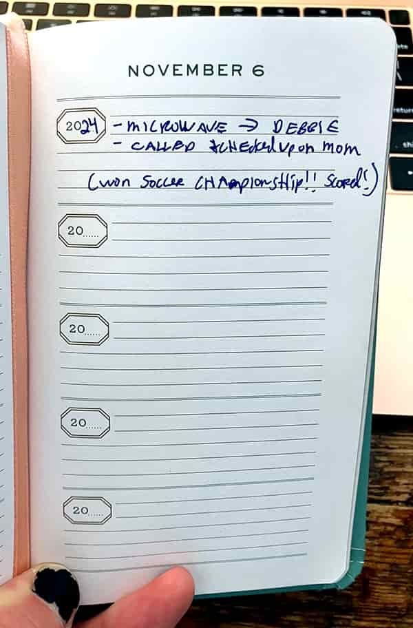 one a day diary - inside