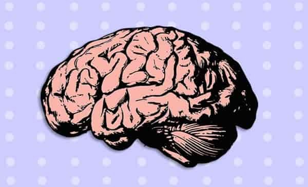 polka dot brain