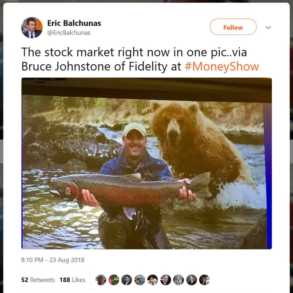 stock market bear
