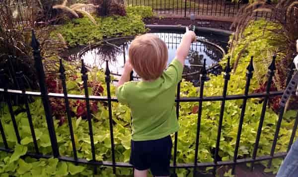 throwing pennies in fountain