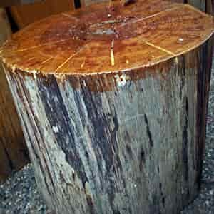 wooden stump chair table