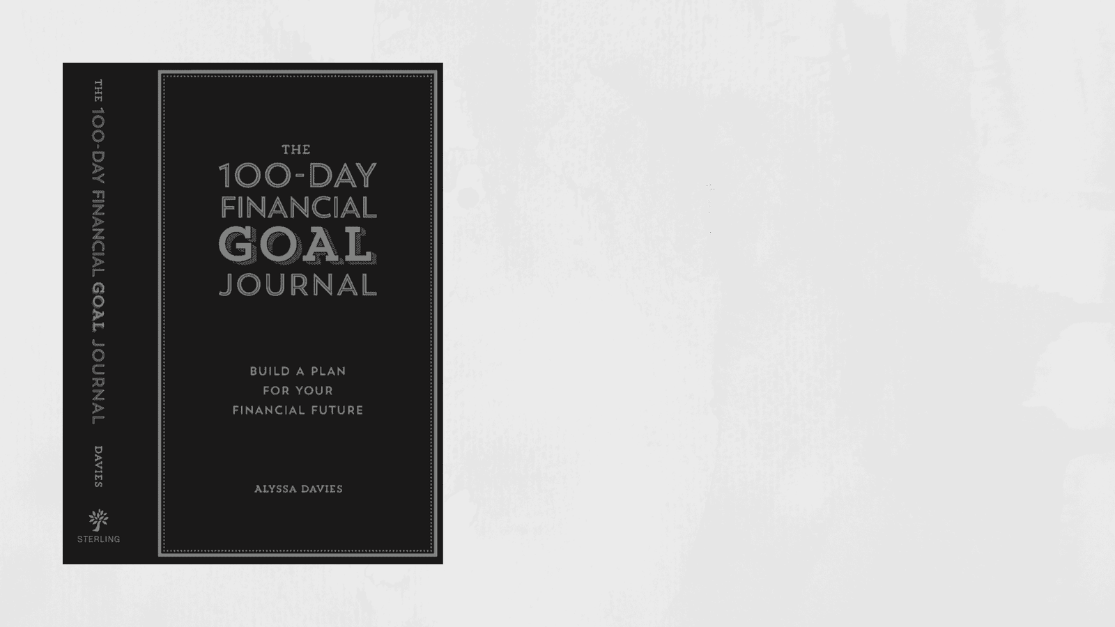 100-day-financial-goal-journal-davies.png
