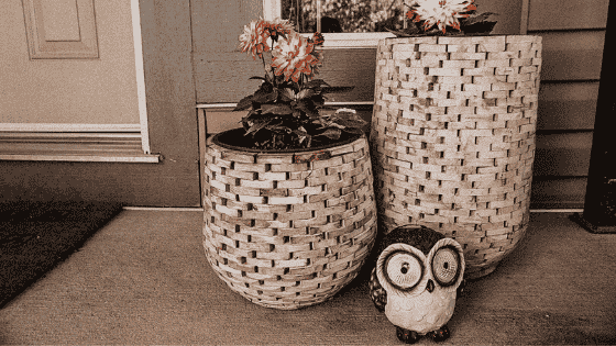 solar-powered-owl.png